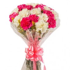 Expressive Collection of White N Pink Carnations